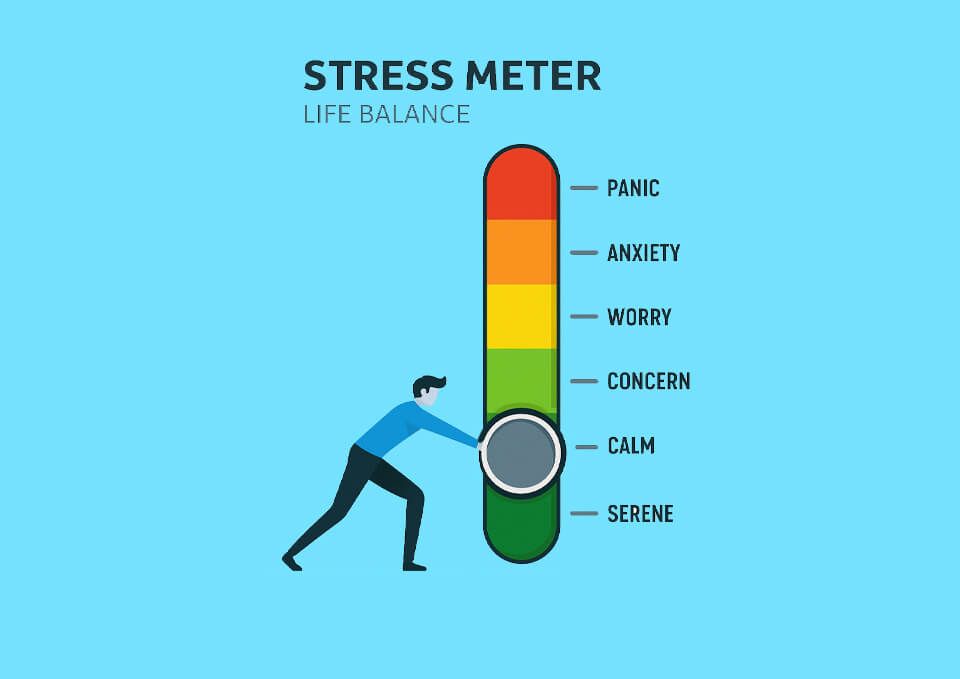Stress and Anxiety Assessment Survey