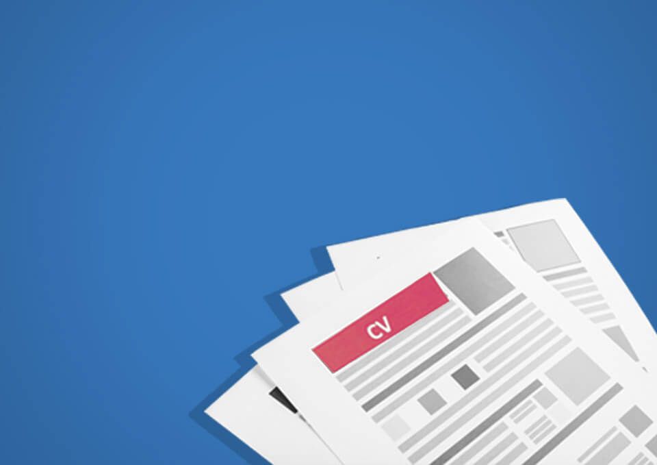 Online Job Application Form Template