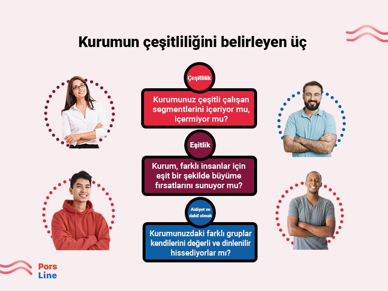Kurum Çeşitliliği anketleri