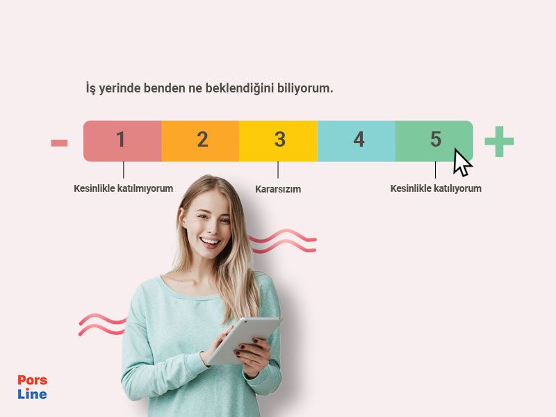 çalışan anketi