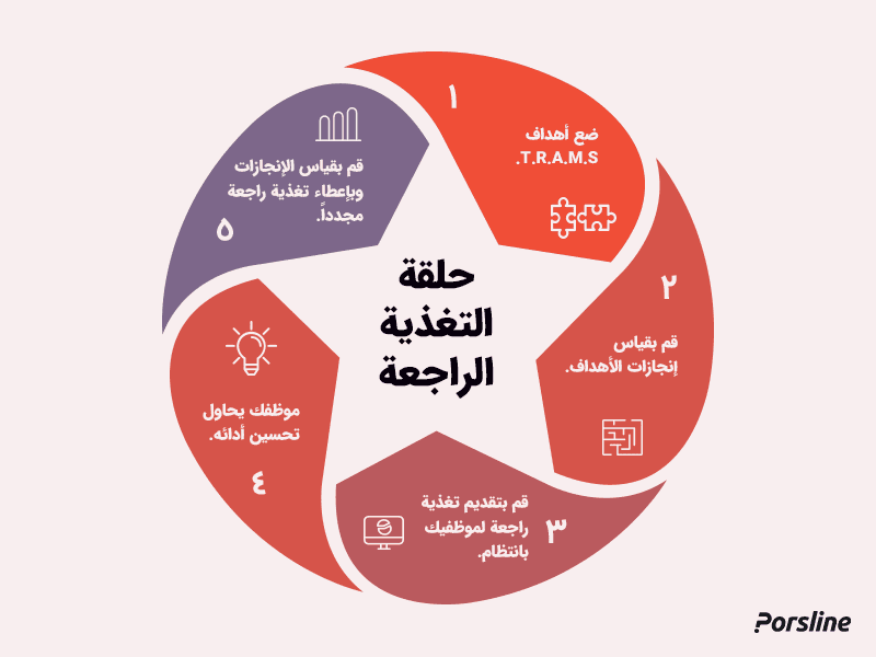 حلقة التغذية الراجعة