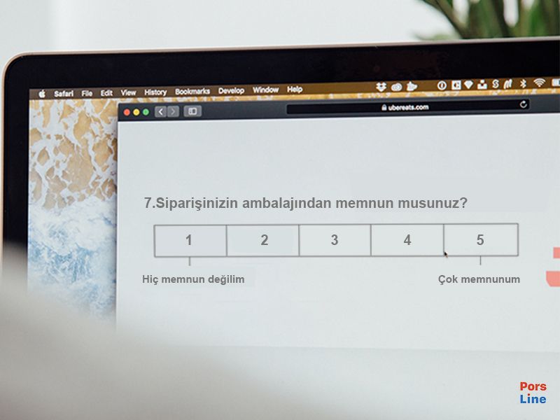 likert ölçeği sorusu