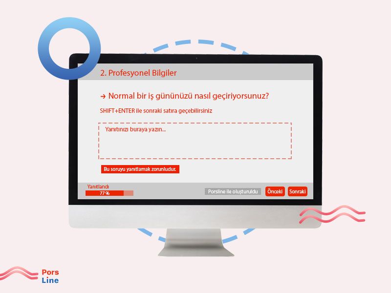 persona profesyonel soruları